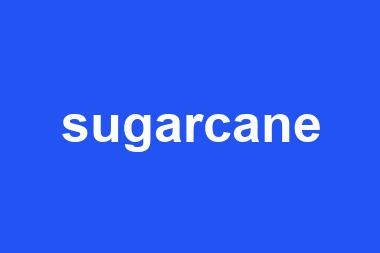 sugarcane