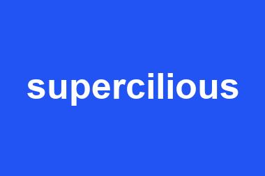 supercilious