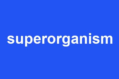 superorganism