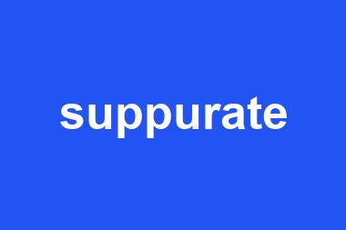 suppurate