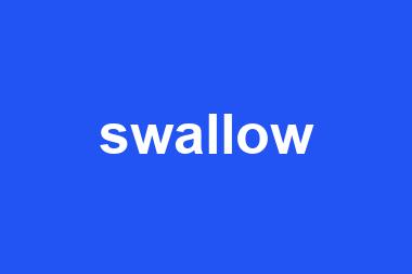 swallow