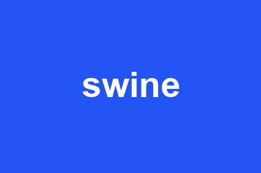 swine