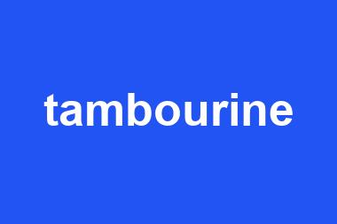 tambourine