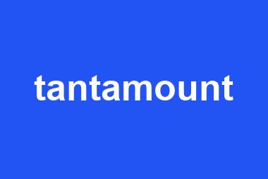 tantamount