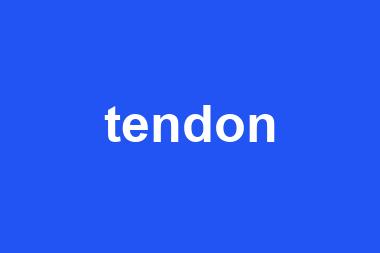 tendon