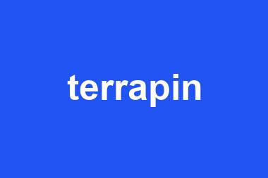 terrapin