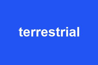 terrestrial