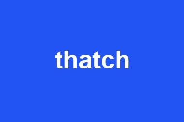 thatch