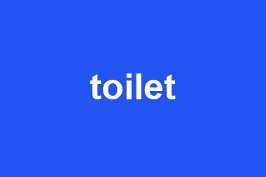 toilet