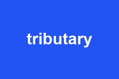 tributary