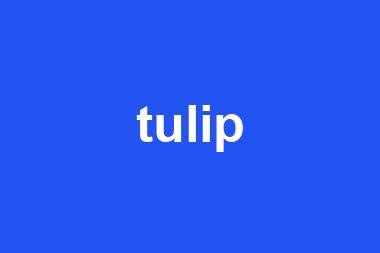 tulip