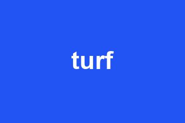 turf