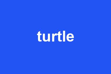 turtle