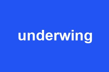 underwing