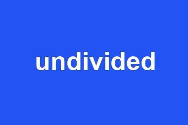 undivided