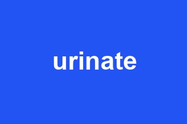 urinate