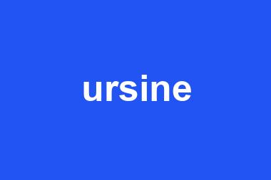 ursine