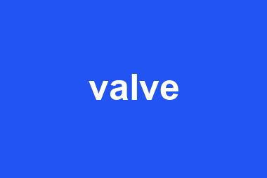 valve