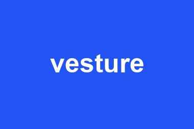 vesture