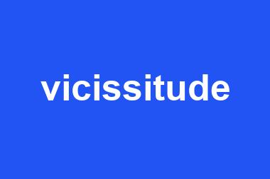 vicissitude