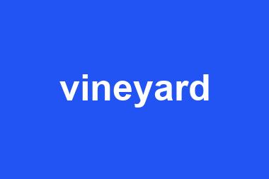 vineyard