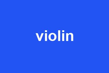 violin