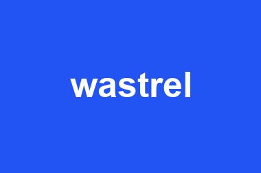 wastrel