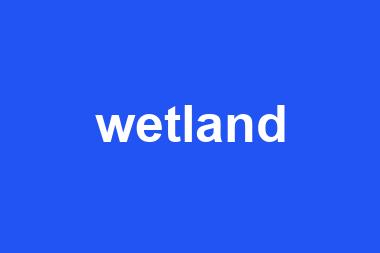 wetland