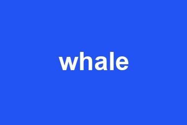 whale