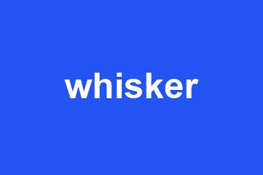 whisker