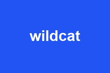 wildcat