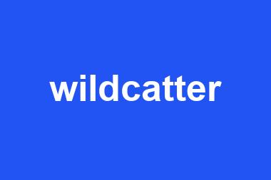 wildcatter