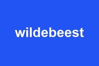 wildebeest