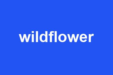 wildflower