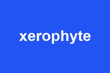 xerophyte